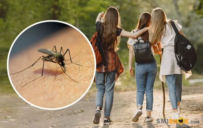 Вчені з'ясували, людей у якому одязі частіше кусають комарі