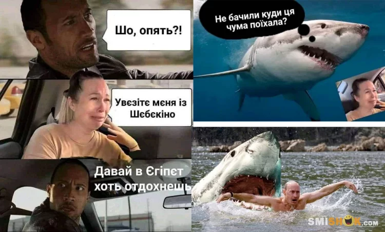 Акула VS россиянин: Сеть взорвалась шутками и мемами