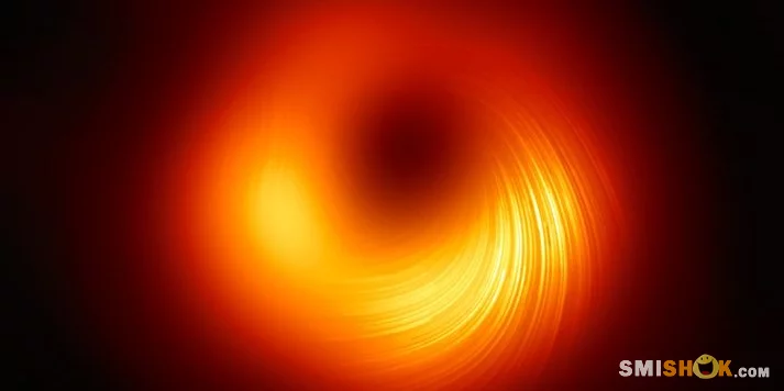 Терор чорних дірок: Заворожуюча особливість, виявлена астрономами